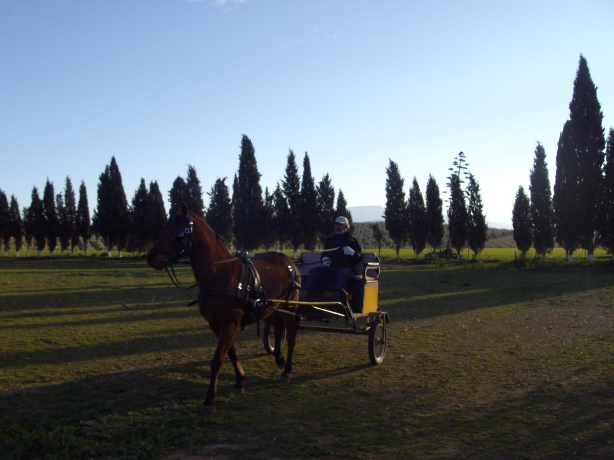 Cortijo Ferradores Humilladero Εξωτερικό φωτογραφία