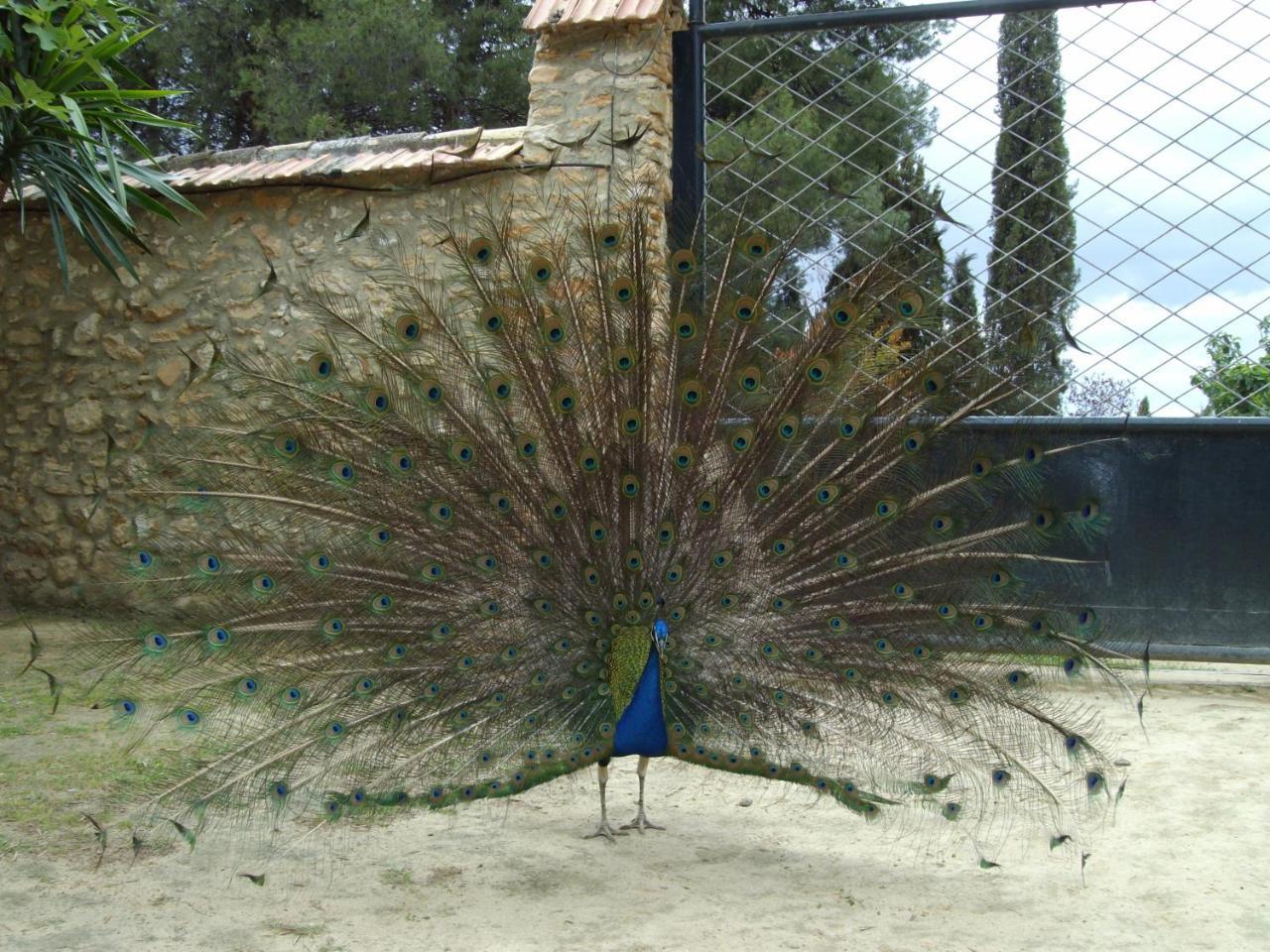 Cortijo Ferradores Humilladero Εξωτερικό φωτογραφία