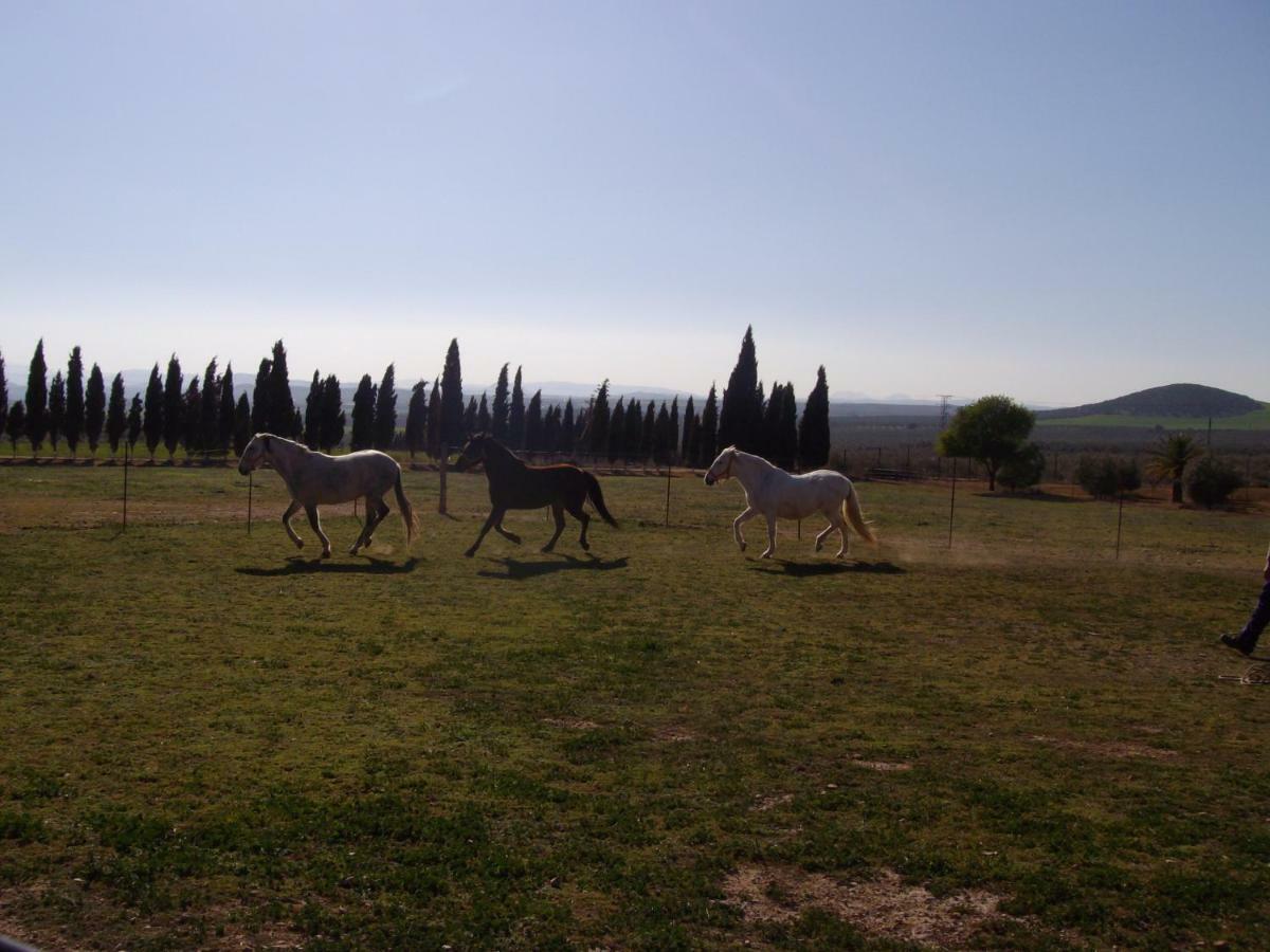 Cortijo Ferradores Humilladero Εξωτερικό φωτογραφία