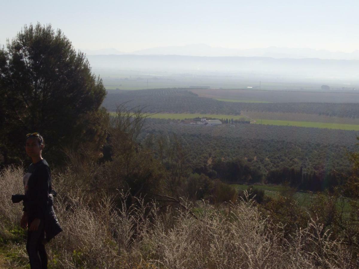 Cortijo Ferradores Humilladero Εξωτερικό φωτογραφία