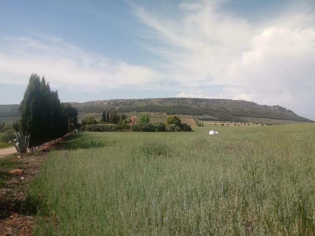 Cortijo Ferradores Humilladero Εξωτερικό φωτογραφία