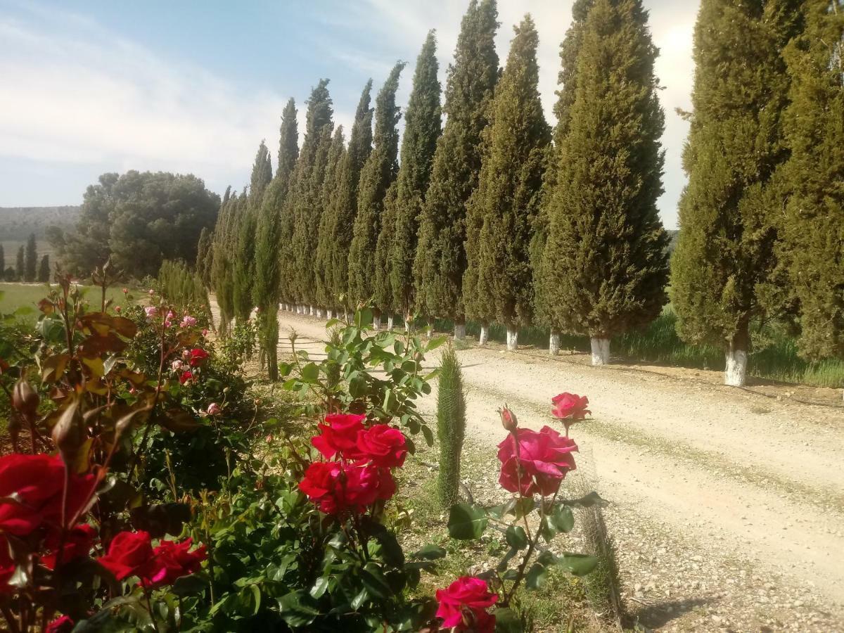 Cortijo Ferradores Humilladero Εξωτερικό φωτογραφία
