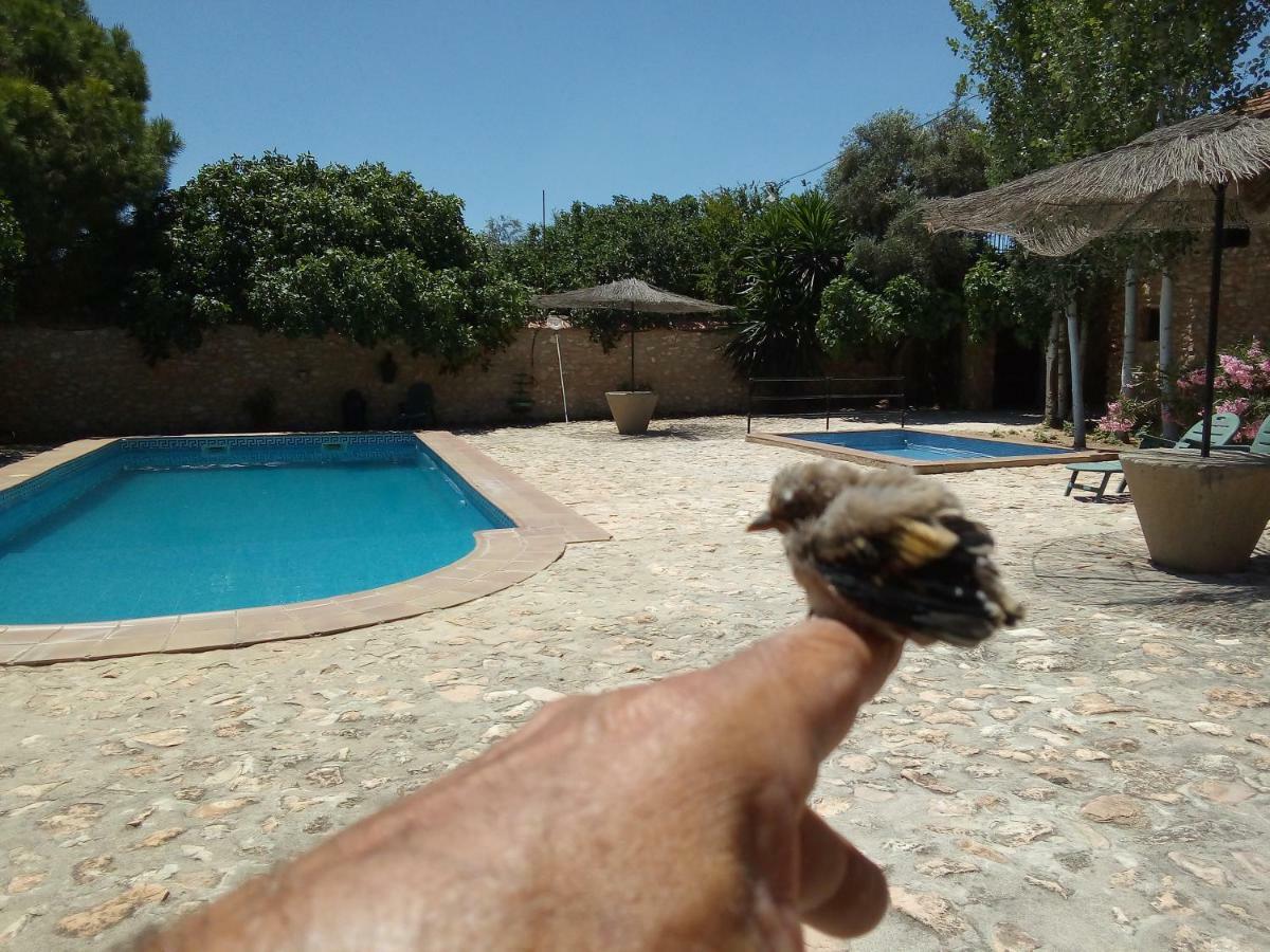 Cortijo Ferradores Humilladero Εξωτερικό φωτογραφία